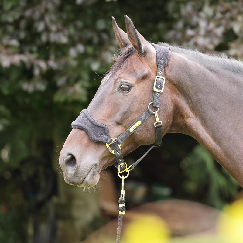 ARMA Fleece Headcollar & Lead Rope