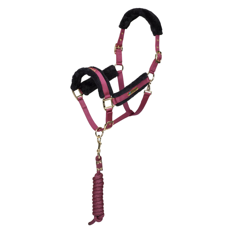 ARMA Logo Headcollar & Lead Rope