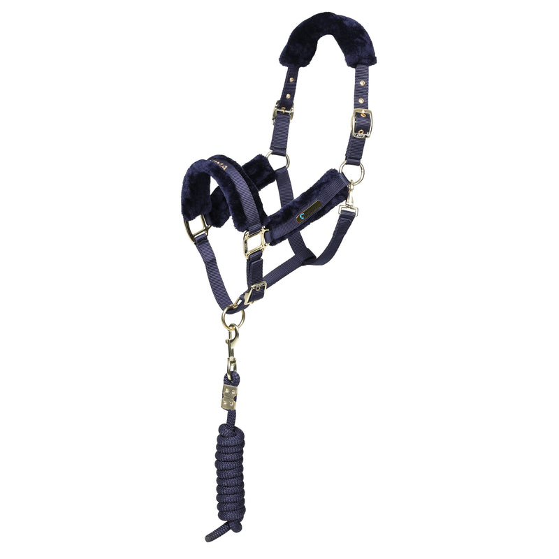 ARMA Logo Headcollar & Lead Rope