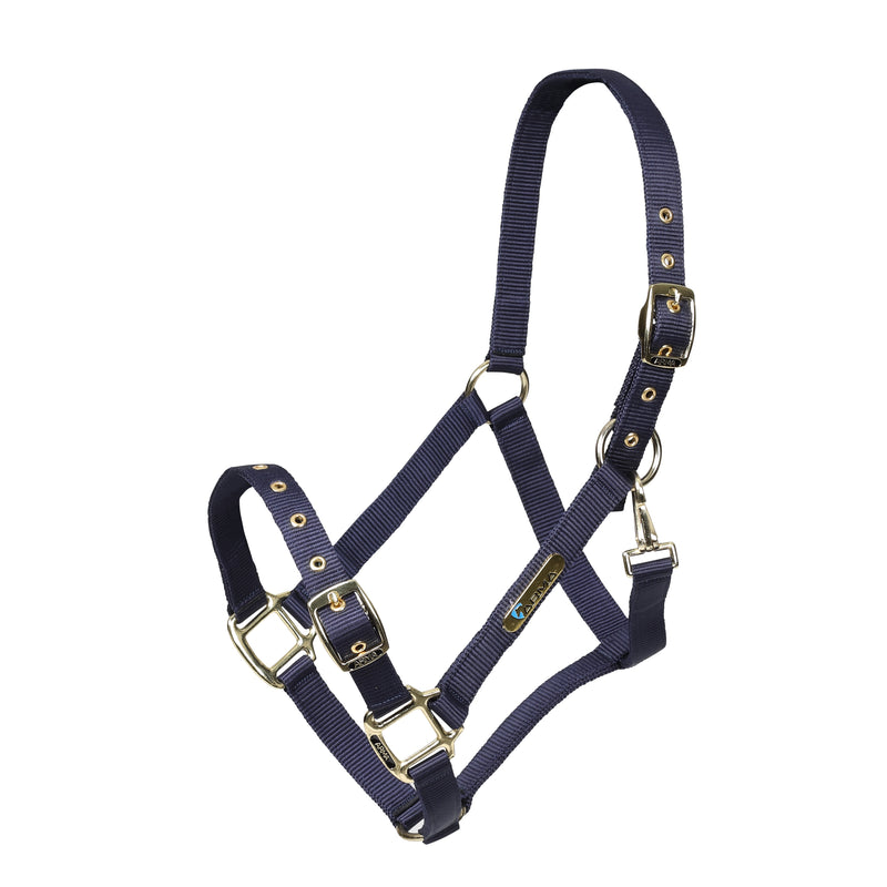 ARMA Adjustable Headcollar