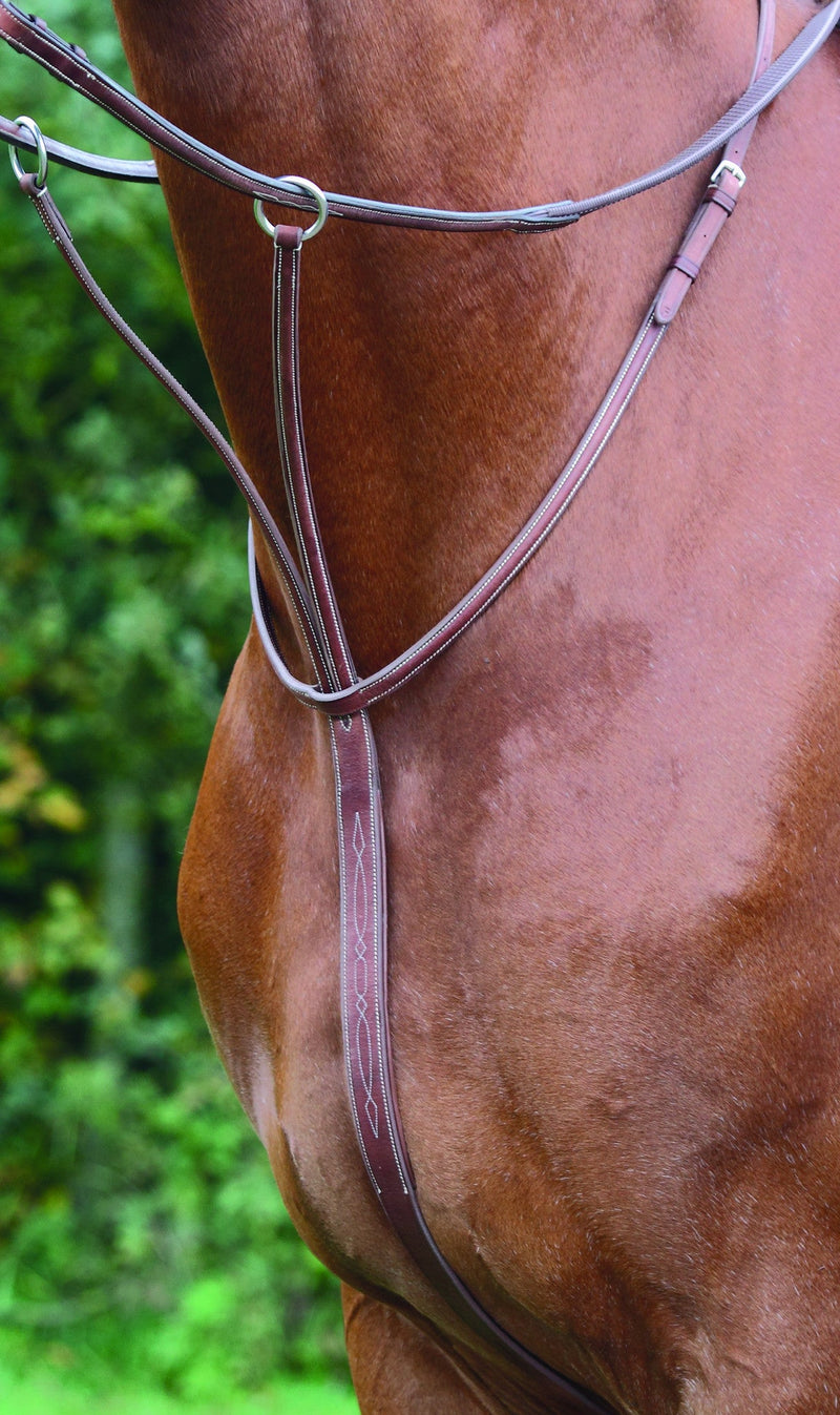 Avignon Running Martingale - Nags Essentials