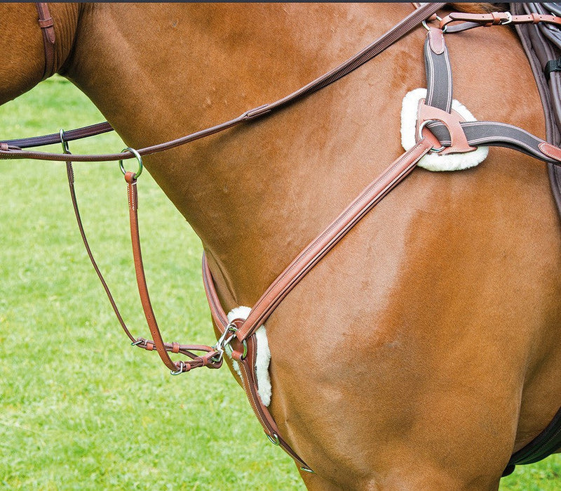 Avignon 5 Point Breastplate - Nags Essentials