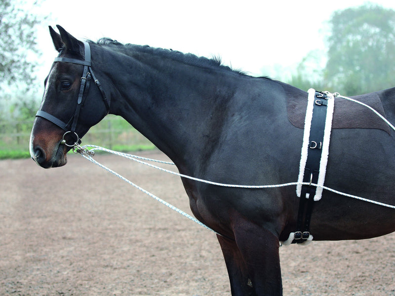 Shires Lunging Aid - Nags Essentials