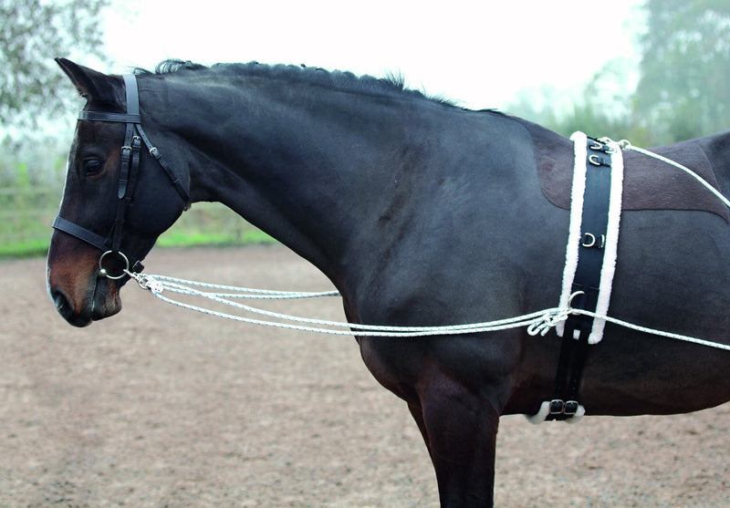 Shires Lunging Aid - Nags Essentials