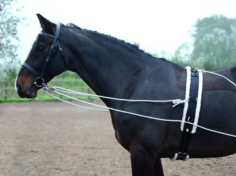 Shires Lunging Aid - Nags Essentials