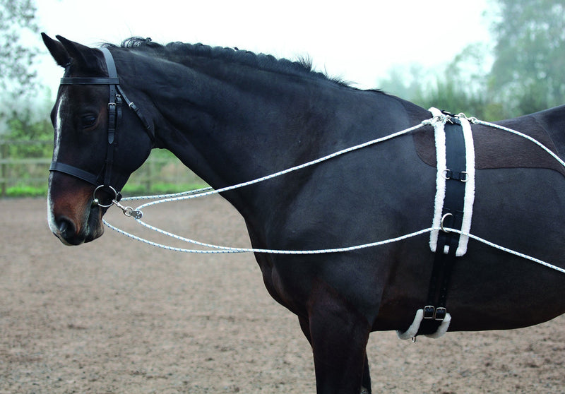 Shires Lunging Aid - Nags Essentials