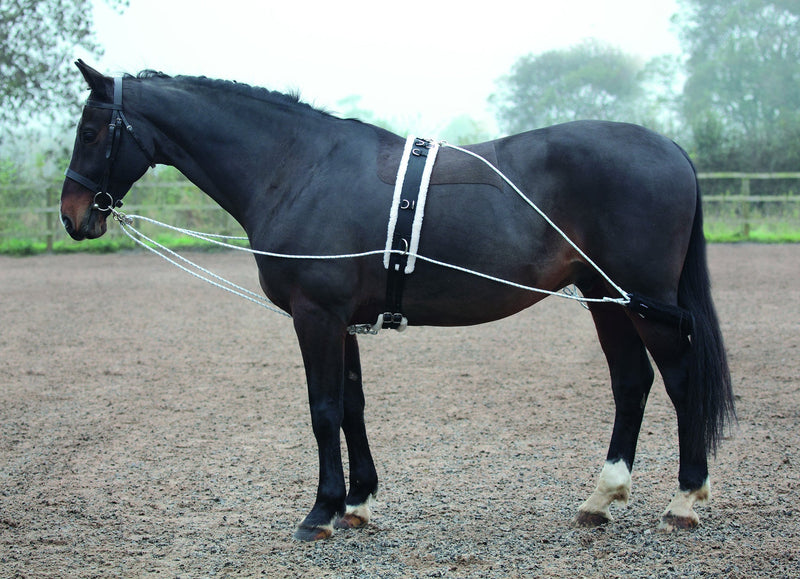 Shires Lunging Aid - Nags Essentials