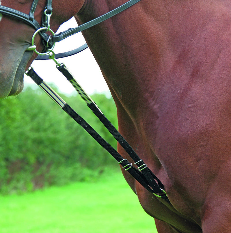 Harbridge Training Aid - Nags Essentials