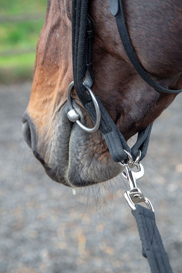 Lunging Adapter - Nags Essentials