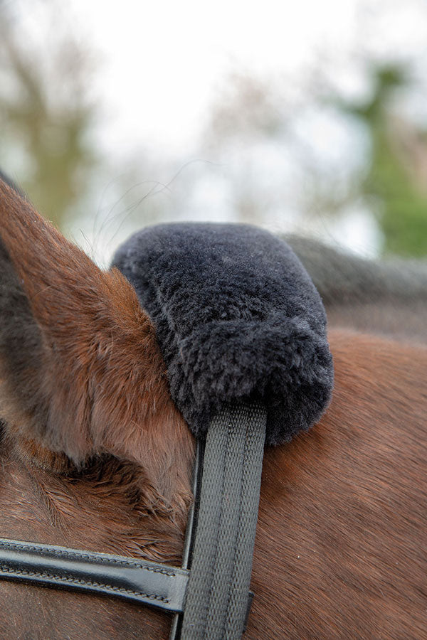 Lunging Adapter - Nags Essentials