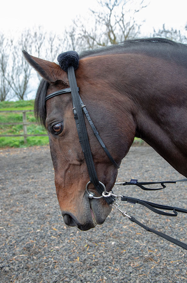 Lunging Adapter - Nags Essentials