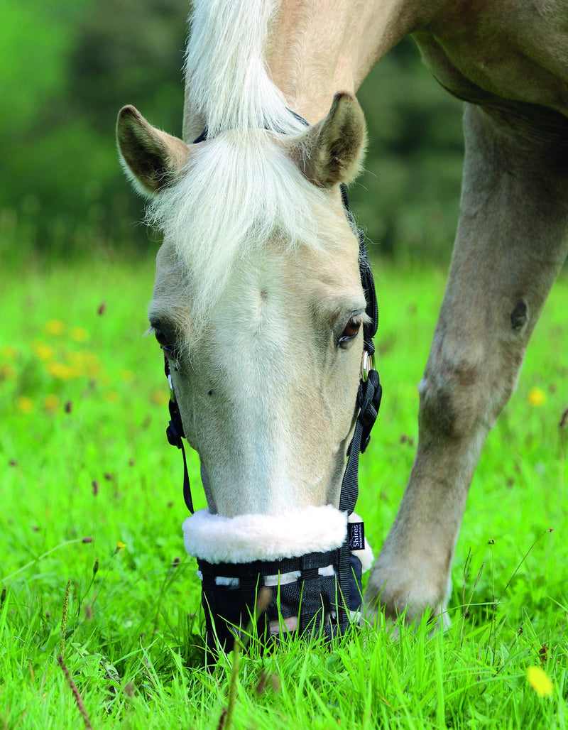 Deluxe Comfort Grazing Muzzle - Nags Essentials