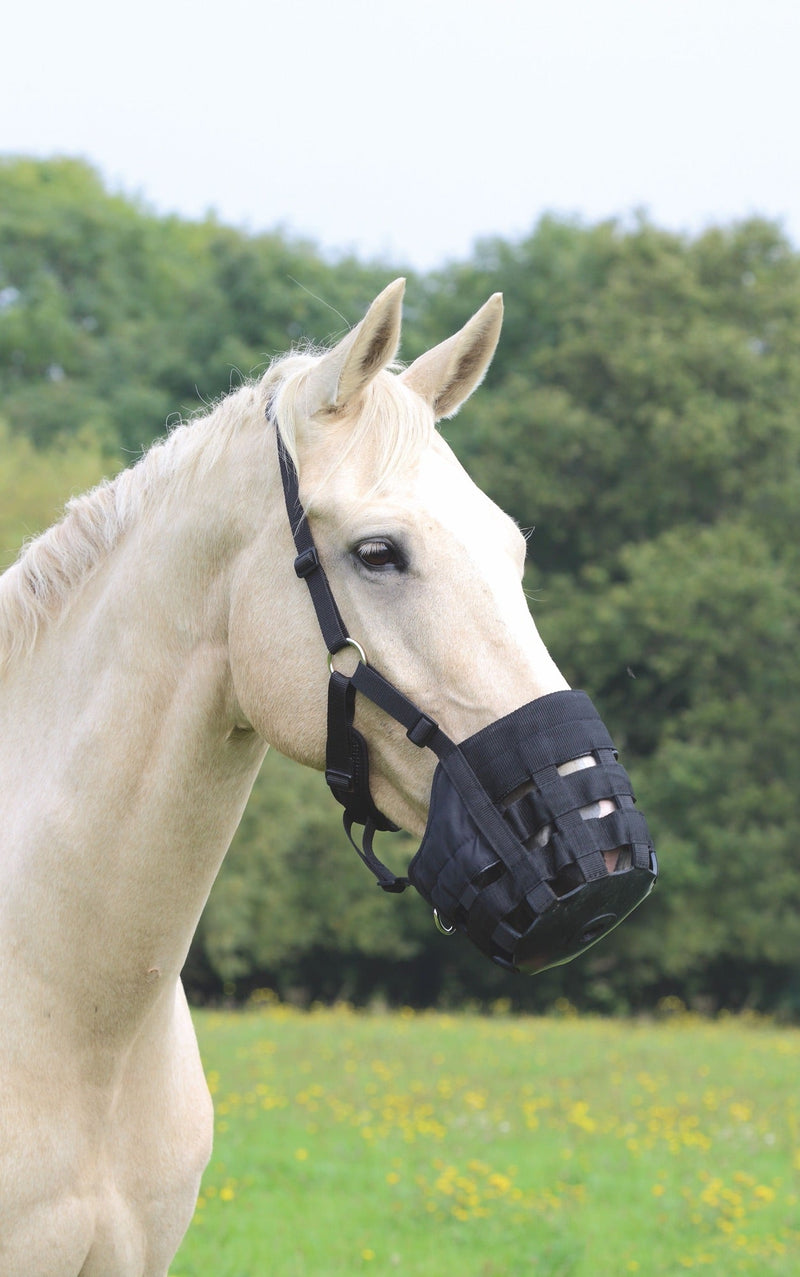 FreeGraze Comfort Grazing Muzzle