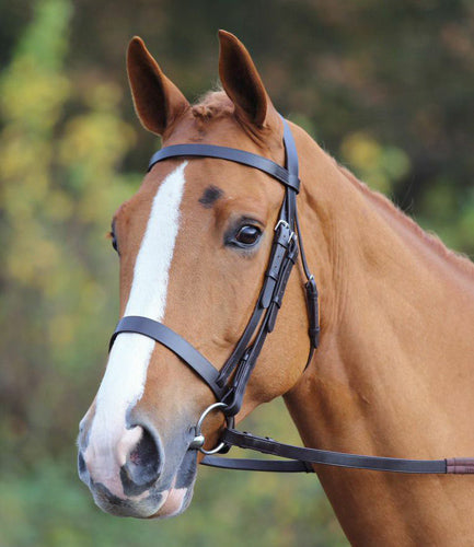 Aviemore Plain Bridle - Nags Essentials