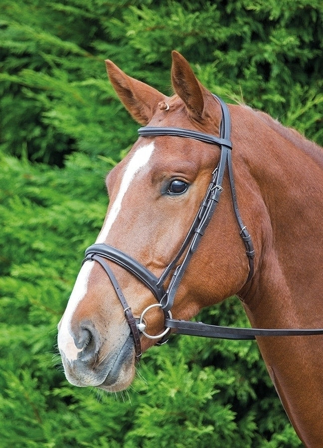 Velociti GARA Comfort Fit Bridle