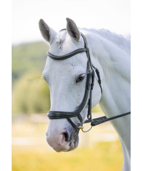 Velociti RAPIDA Ergonomic Curved Flash Bridle