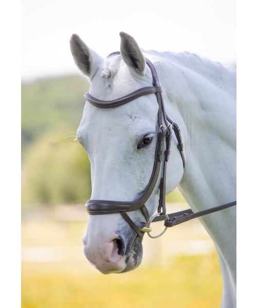 Velociti RAPIDA Ergonomic Curved Flash Bridle