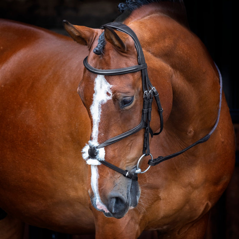 Velociti RAPIDA Grackle Bridle