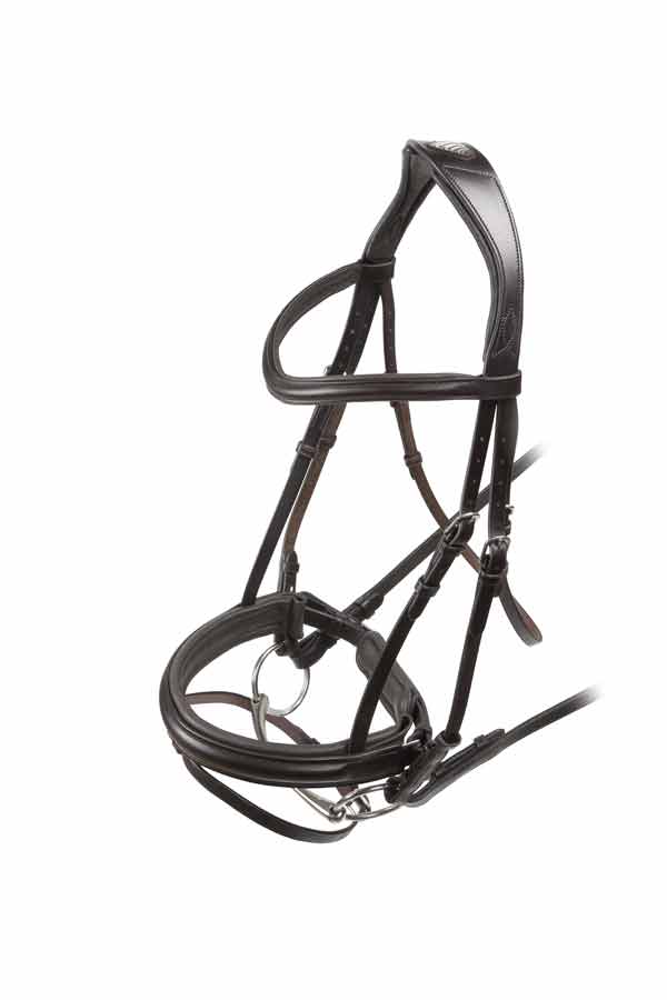 Velociti Dressage Flash Bridle - Nags Essentials