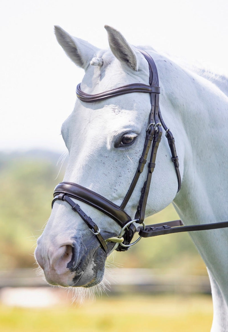 Velociti RAPIDA Dressage Bridle with Flash