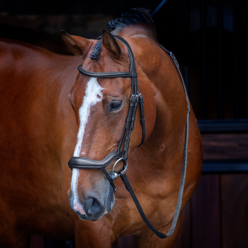 Velociti RAPIDA Ergonomic Flash Bridle