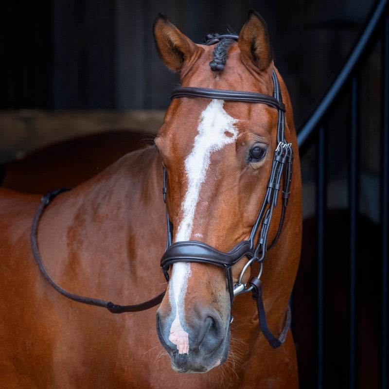 Velociti RAPIDA Ergonomic Flash Bridle