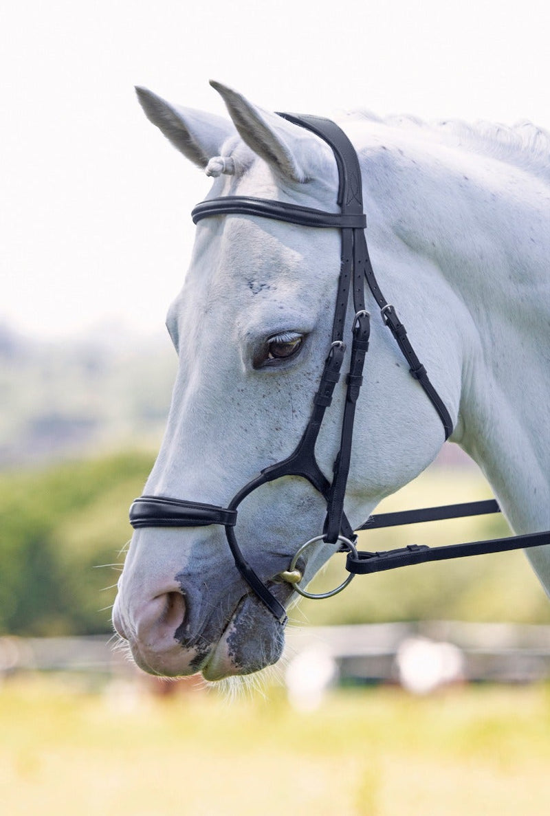 Velociti RAPIDA Rolled Padded Cavesson Bridle