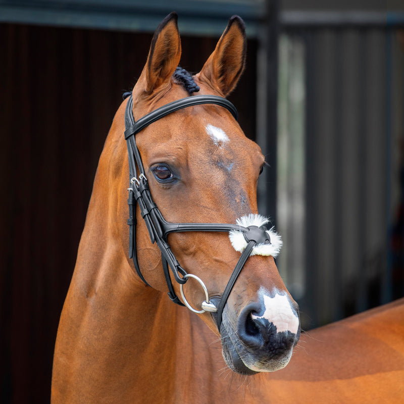 Velociti Lusso Grackle Bridle