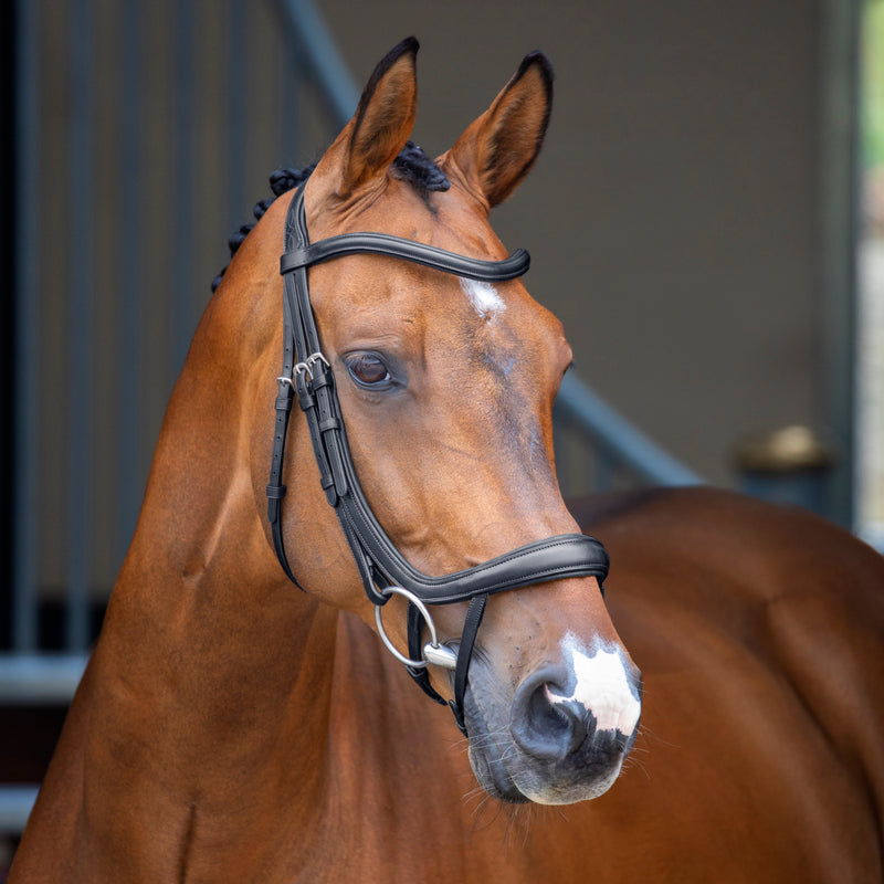 Velociti Lusso Ergonomic Curved Flash Bridle