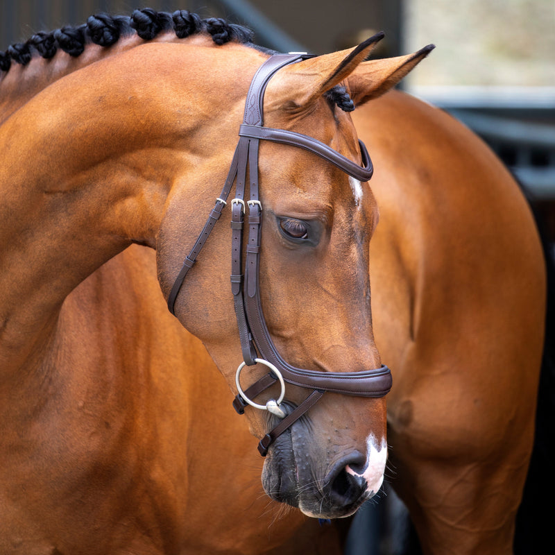 Velociti Lusso Ergonomic Curved Flash Bridle