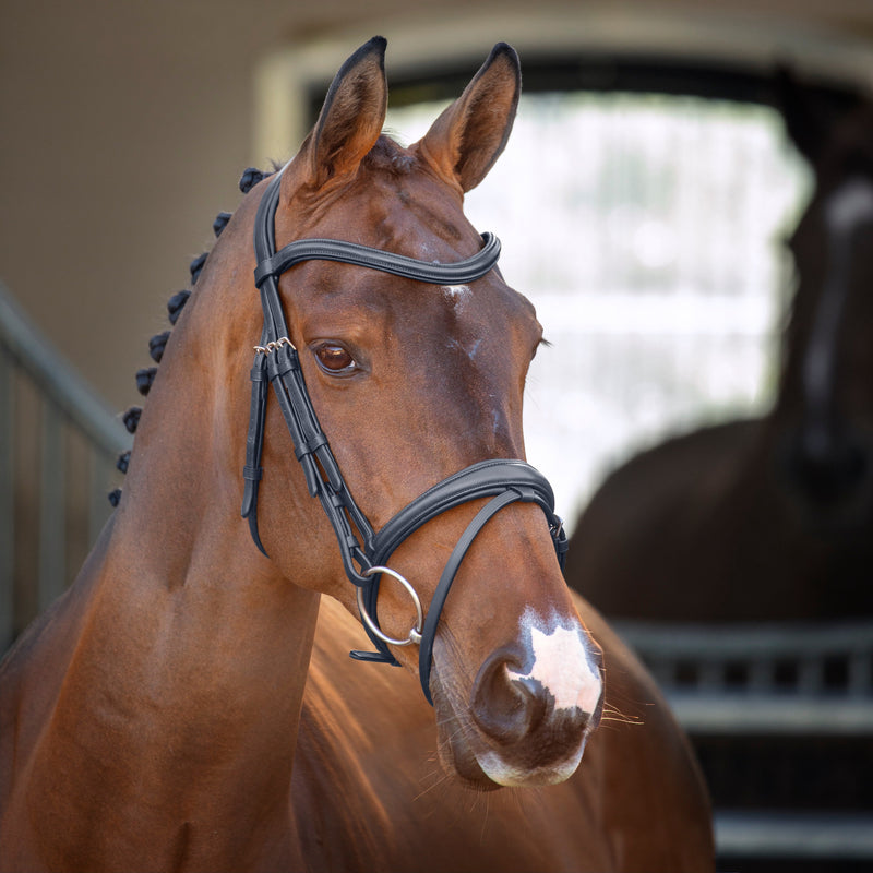 Velociti Lusso Padded Raised Flash Bridle