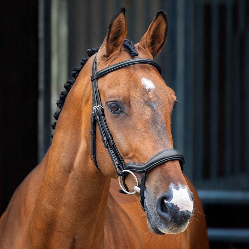 Velociti Lusso Ergonomic Flash Bridle