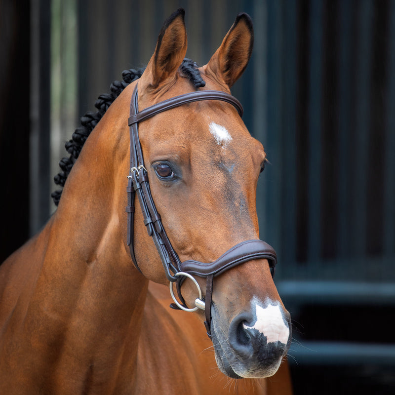 Velociti Lusso Ergonomic Flash Bridle