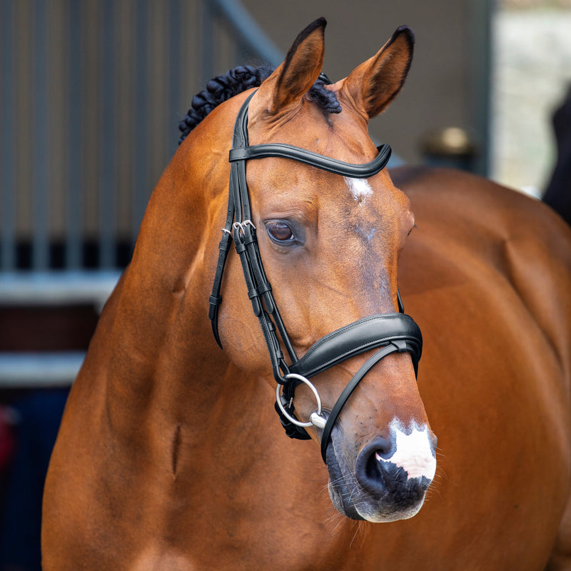 Velociti Lusso Dressage Flash Bridle