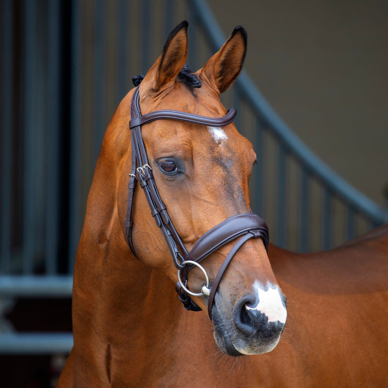 Velociti Lusso Dressage Flash Bridle