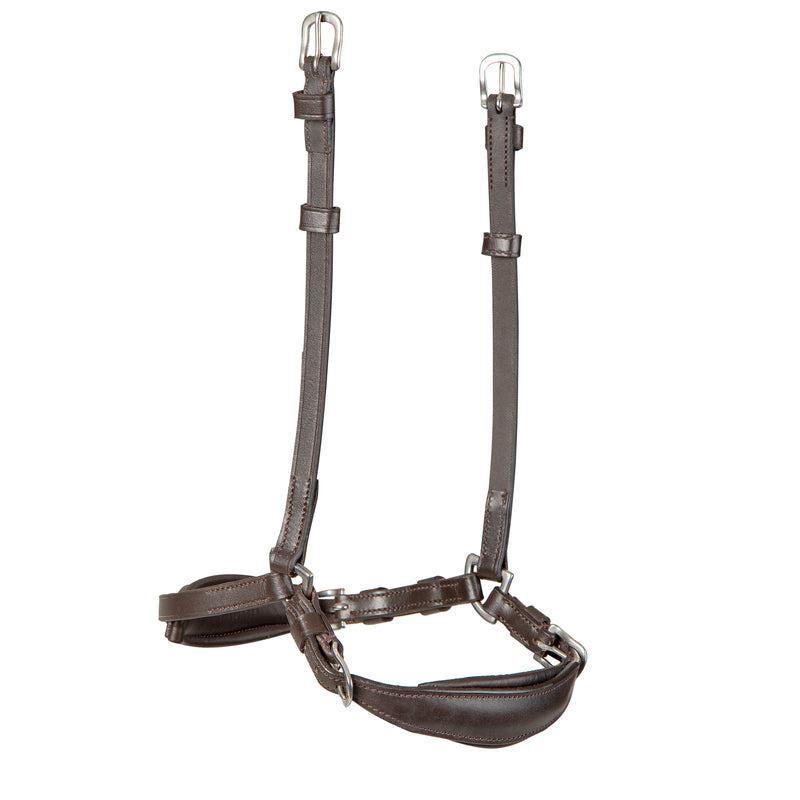 Velociti RAPIDA Drop Noseband