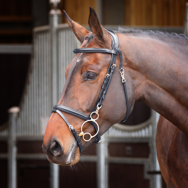 Velociti Rapida Training Bridle