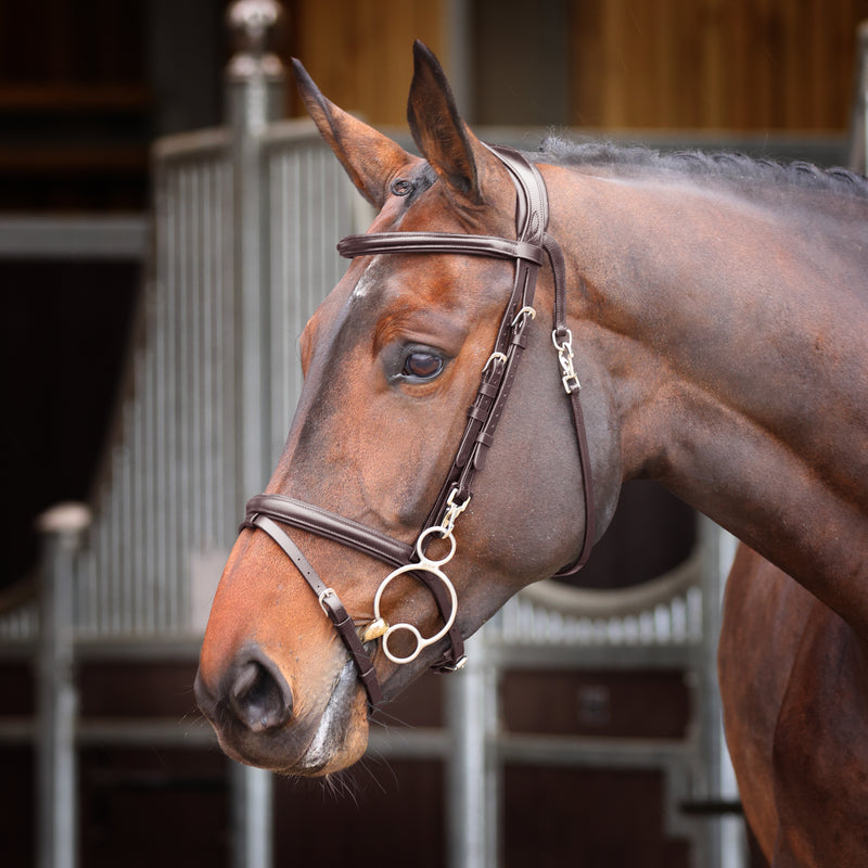 Velociti Rapida Training Bridle