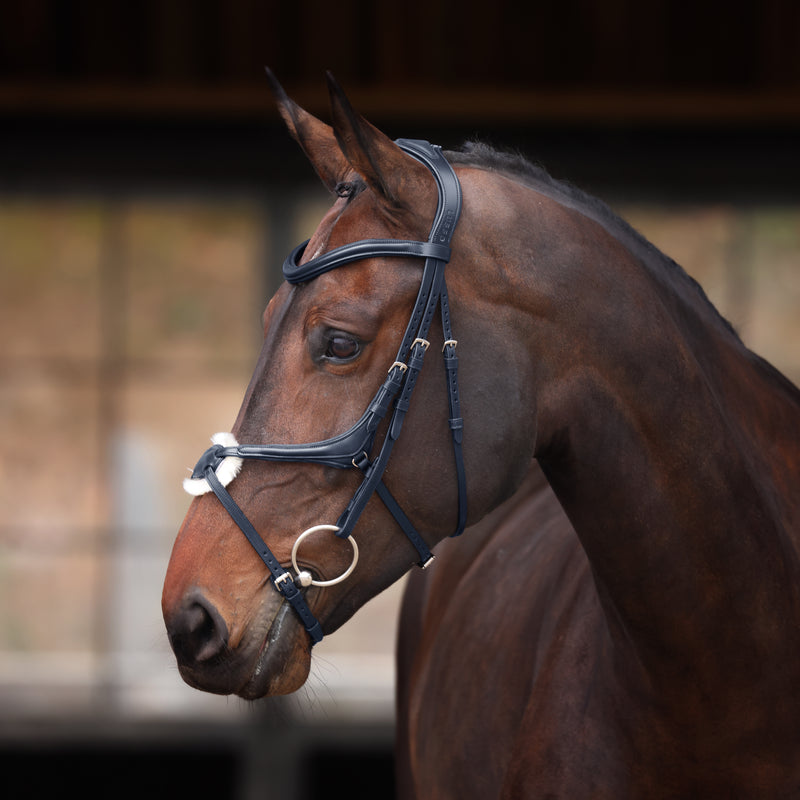 Velociti Lusso Elite Grackle Bridle