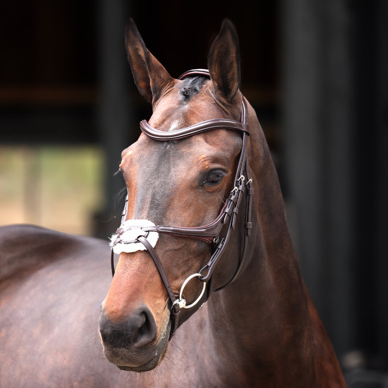 Velociti Lusso Elite Grackle Bridle