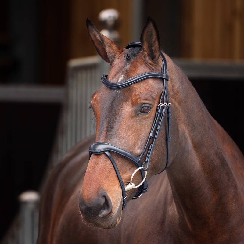 Velociti Lusso Elite Flash Bridle