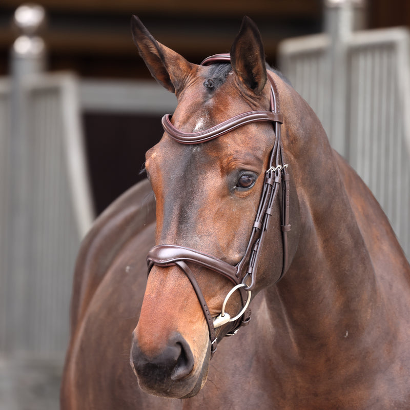 Velociti Lusso Elite Flash Bridle