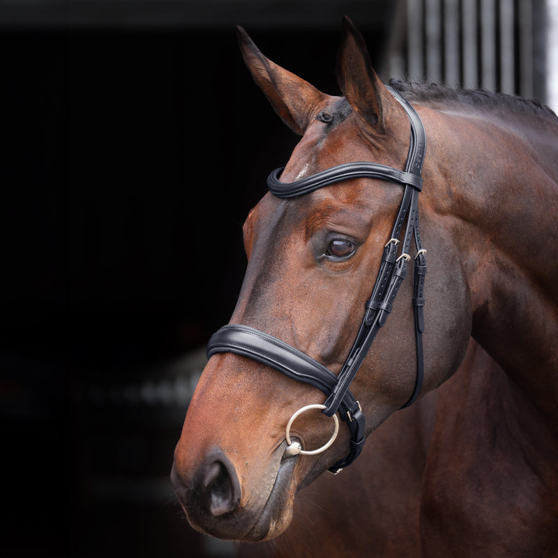 Velociti Lusso Elite Padded Cavesson Bridle