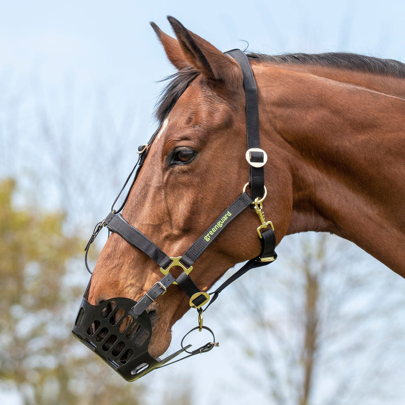 Greenguard Grazing Muzzle