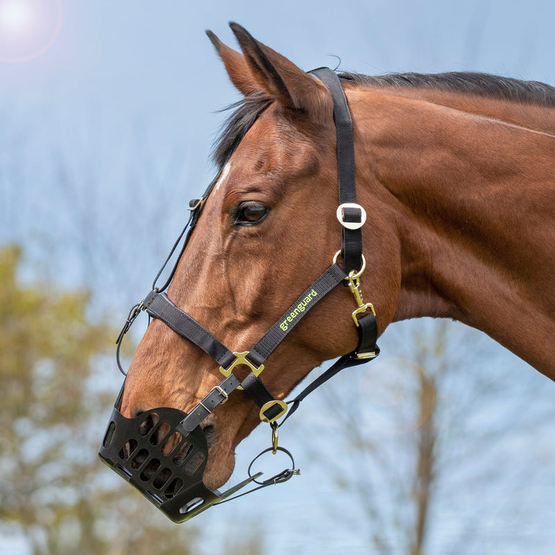 Greenguard Grazing Muzzle