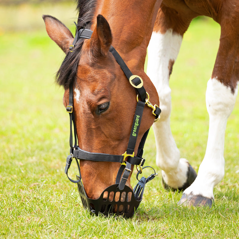 Greenguard Grazing Muzzle