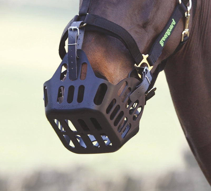 Greenguard Grazing Muzzle