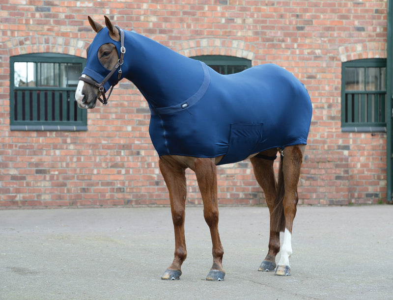 Weatherbeeta Stretch Rug