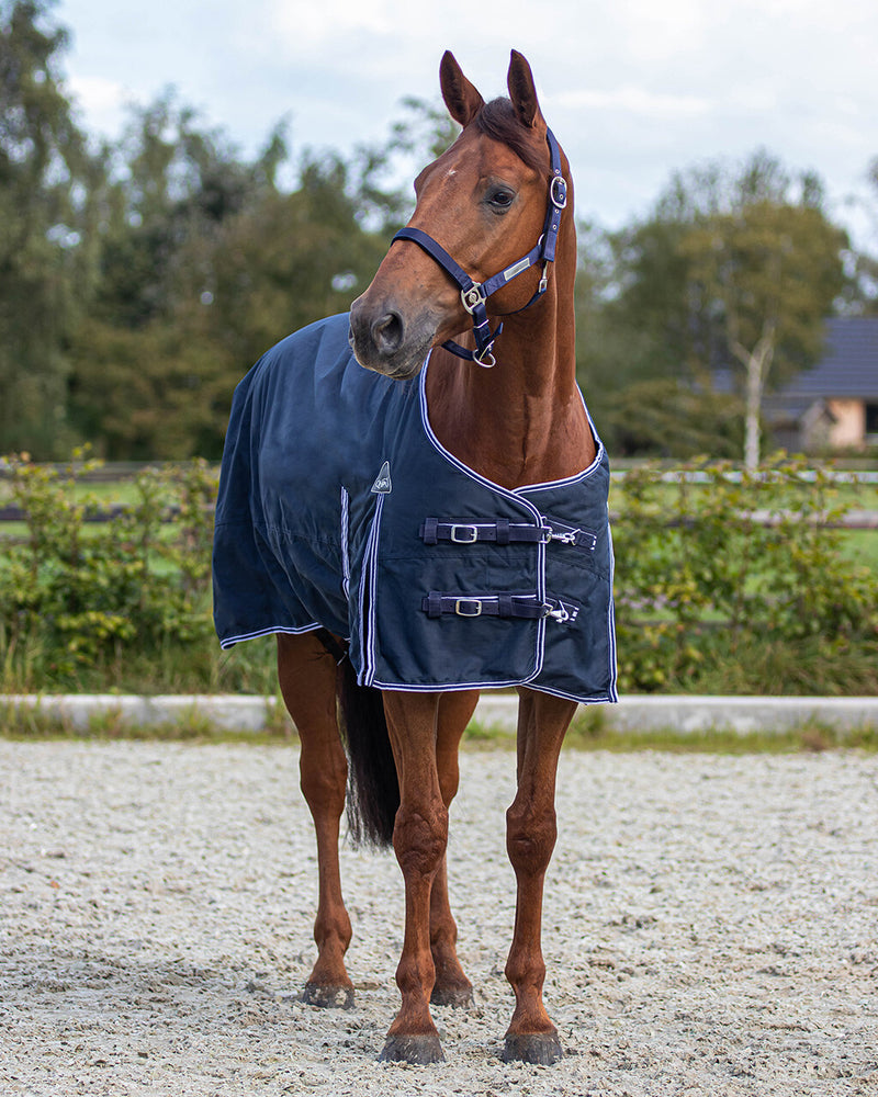 Luxury 200g Turnout Rug