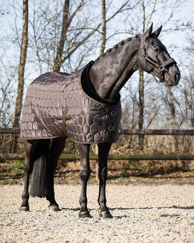Classy 100g Stable Rug